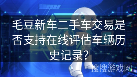 毛豆新车二手车交易是否支持在线评估车辆历史记录？