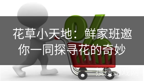 花草小天地：鲜家班邀你一同探寻花的奇妙