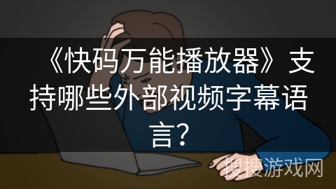 《快码万能播放器》支持哪些外部视频字幕语言? 《快码万能播放器》支持哪些外部视频字幕语言?