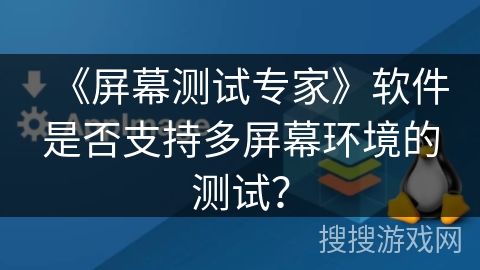 《屏幕测试专家》软件是否支持多屏幕环境的测试？