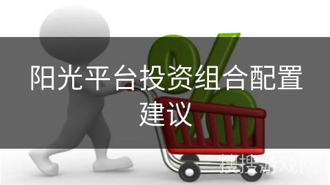 阳光平台投资组合配置建议