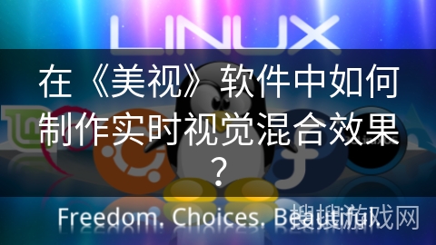 在《美视》软件中如何制作实时视觉混合效果？
