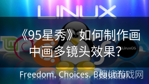 《95星秀》如何制作画中画多镜头效果？