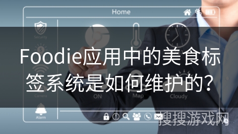 Foodie应用中的美食标签系统是如何维护的？