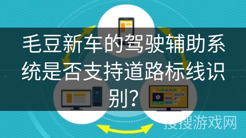 毛豆新车的驾驶辅助系统是否支持道路标线识别？