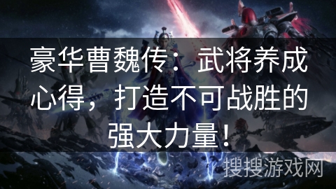 豪华曹魏传：武将养成心得，打造不可战胜的强大力量！