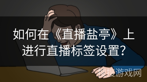 如何在《直播盐亭》上进行直播标签设置? 如何在《直播盐亭》上进行直播标签设置?