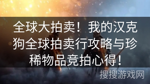 全球大拍卖！我的汉克狗全球拍卖行攻略与珍稀物品竞拍心得！