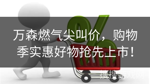 万森燃气尖叫价,购物季实惠好物抢先上市!