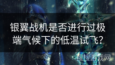 银翼战机是否进行过极端气候下的低温试飞？