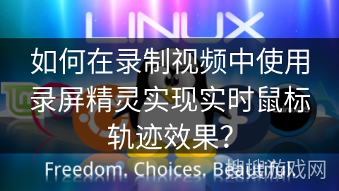 如何在录制视频中使用录屏精灵实现实时鼠标轨迹效果？