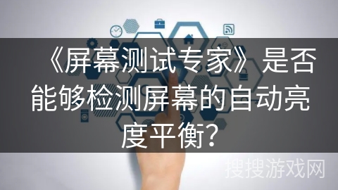 《屏幕测试专家》是否能够检测屏幕的自动亮度平衡? 《屏幕测试专家》是否能够检测屏幕的自动亮度平衡?