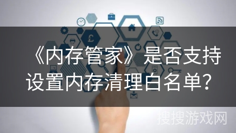 《内存管家》是否支持设置内存清理白名单？