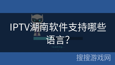 IPTV湖南软件支持哪些语言？