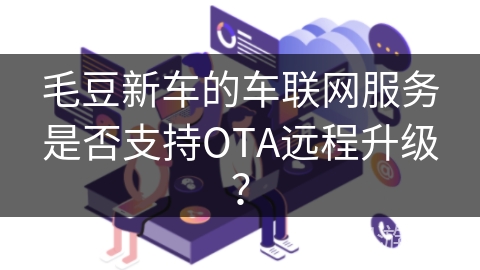 毛豆新车的车联网服务是否支持OTA远程升级？