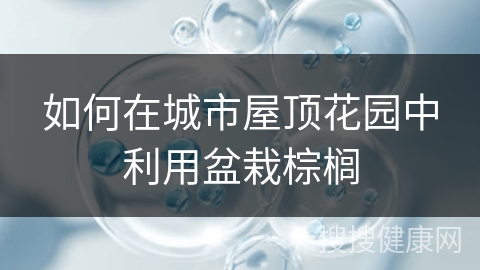 如何在城市屋顶花园中利用盆栽棕榈