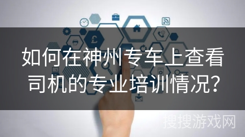如何在神州专车上查看司机的专业培训情况？