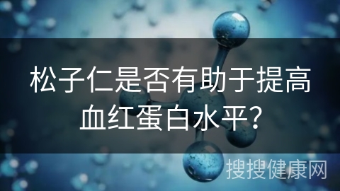 松子仁是否有助于提高血红蛋白水平？