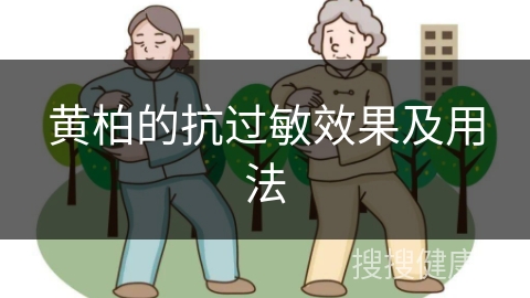 黄柏的抗过敏效果及用法