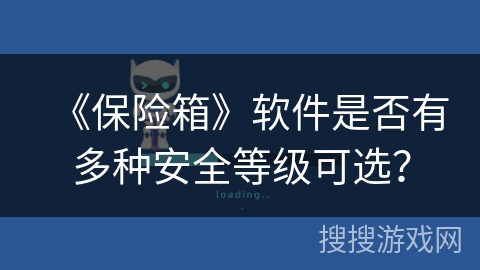 《保险箱》软件是否有多种安全等级可选? 《保险箱》软件是否有多种安全等级可选?