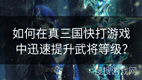 如何在真三国快打游戏中迅速提升武将等级？