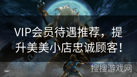 VIP会员待遇推荐，提升美美小店忠诚顾客！