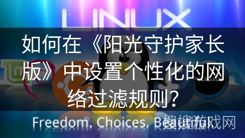 如何在《阳光守护家长版》中设置个性化的网络过滤规则？