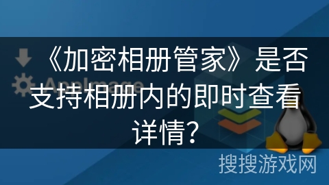 《加密相册管家》是否支持相册内的即时查看详情？