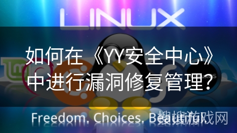 如何在《YY安全中心》中进行漏洞修复管理？