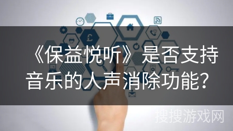 《保益悦听》是否支持音乐的人声消除功能？