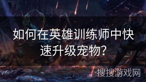如何在英雄训练师中快速升级宠物？