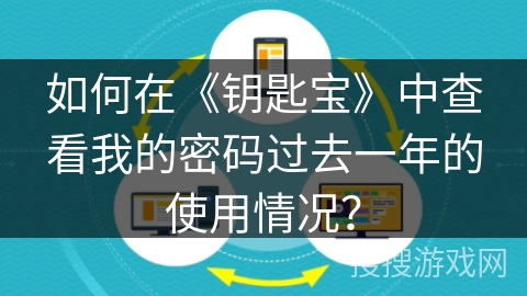 如何在《钥匙宝》中查看我的密码过去一年的使用情况？