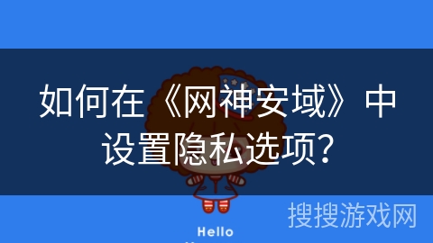 如何在《网神安域》中设置隐私选项？