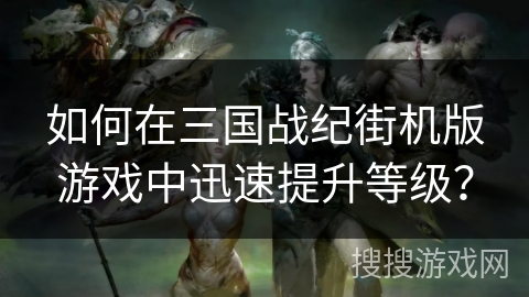 如何在三国战纪街机版游戏中迅速提升等级? 如何在三国战纪街机版游戏中迅速提升等级?