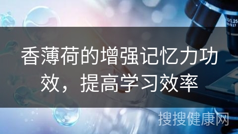 香薄荷的增强记忆力功效，提高学习效率