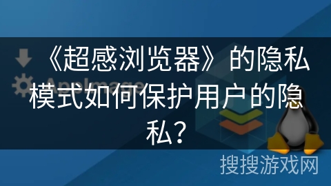 《超感浏览器》的隐私模式如何保护用户的隐私？