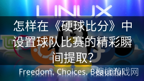怎样在《硬球比分》中设置球队比赛的精彩瞬间提取？