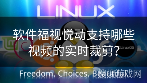 软件福视悦动支持哪些视频的实时裁剪? 软件福视悦动支持哪些视频的实时裁剪?