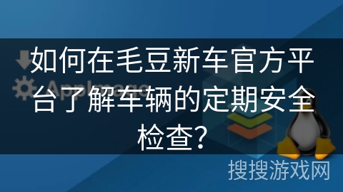 如何在毛豆新车官方平台了解车辆的定期安全检查？