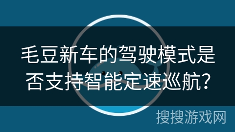 毛豆新车的驾驶模式是否支持智能定速巡航？