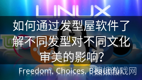 如何通过发型屋软件了解不同发型对不同文化审美的影响？
