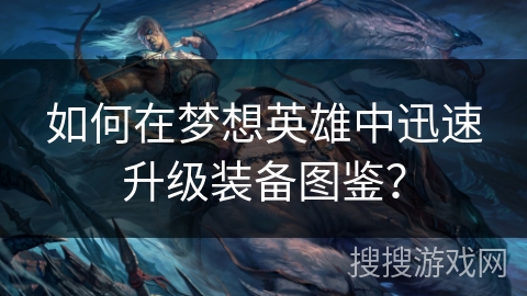 如何在梦想英雄中迅速升级装备图鉴？