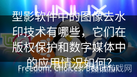 型影软件中的图像去水印技术有哪些，它们在版权保护和数字媒体中的应用情况如何？