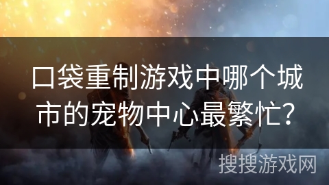 口袋重制游戏中哪个城市的宠物中心最繁忙？