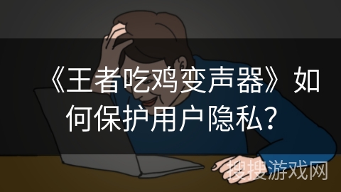 《王者吃鸡变声器》如何保护用户隐私？