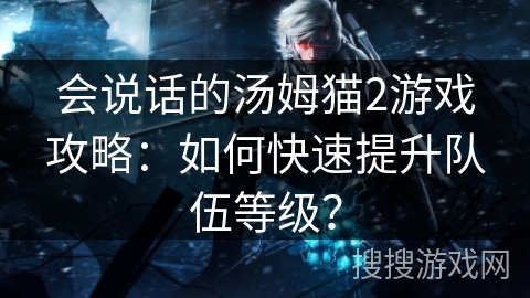 会说话的汤姆猫2游戏攻略：如何快速提升队伍等级？