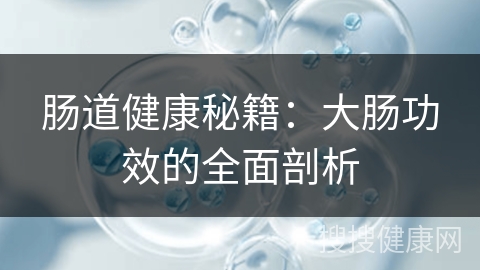 肠道健康秘籍：大肠功效的全面剖析