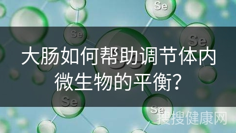 大肠如何帮助调节体内微生物的平衡？