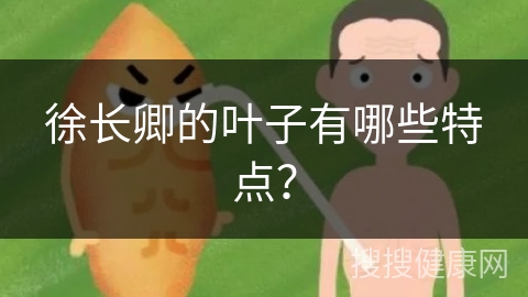 徐长卿的叶子有哪些特点？