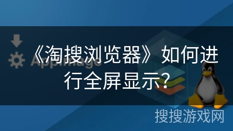 《淘搜浏览器》如何进行全屏显示？